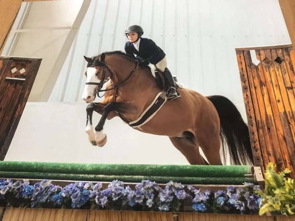 Extraordinary Equestrians: One Hunter Jumper’s Story of Resilience and Triumph