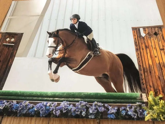 Extraordinary Equestrians: One Hunter Jumper’s Story of Resilience and Triumph