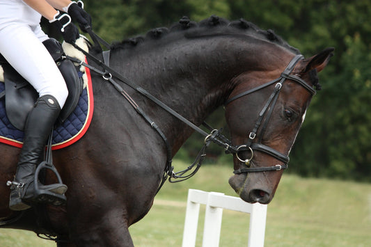How to be Horse Show Ready