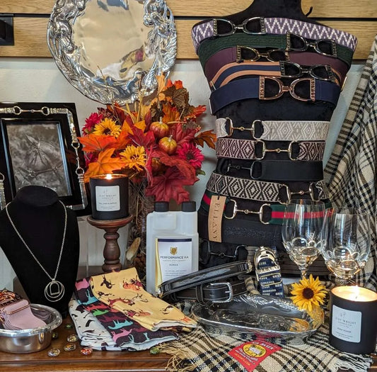 Equestrian Elegance: Top 12 Christmas Gifts Under $100