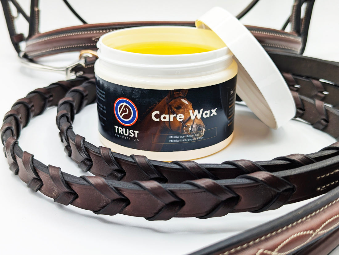Leather Care 101: What to Do Before You Ever Put New Tack on Your Horse