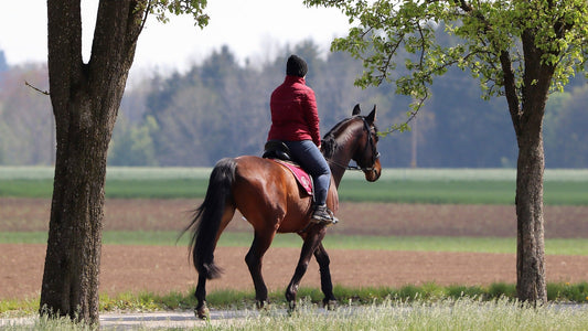 4 Best Ways to Accessorize Horse Girl Fall Fashion 2025