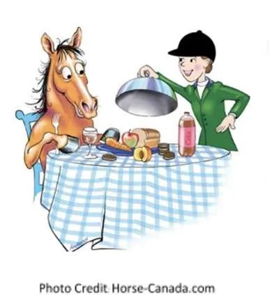 Nutrition for the Thriving Senior Horse