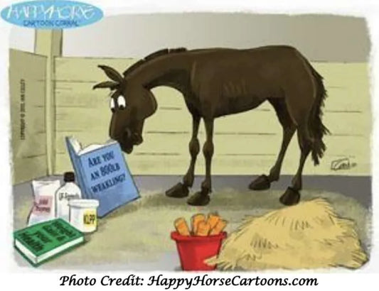 Sound Advice for Choosing your Horse’s Joint Supplement