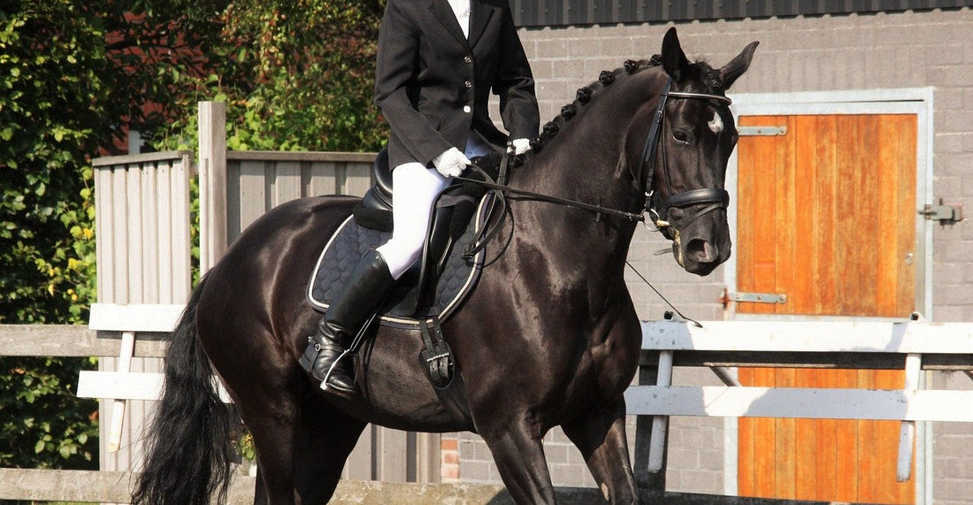 The Secret to a Quiet, Polished Look in the Ring