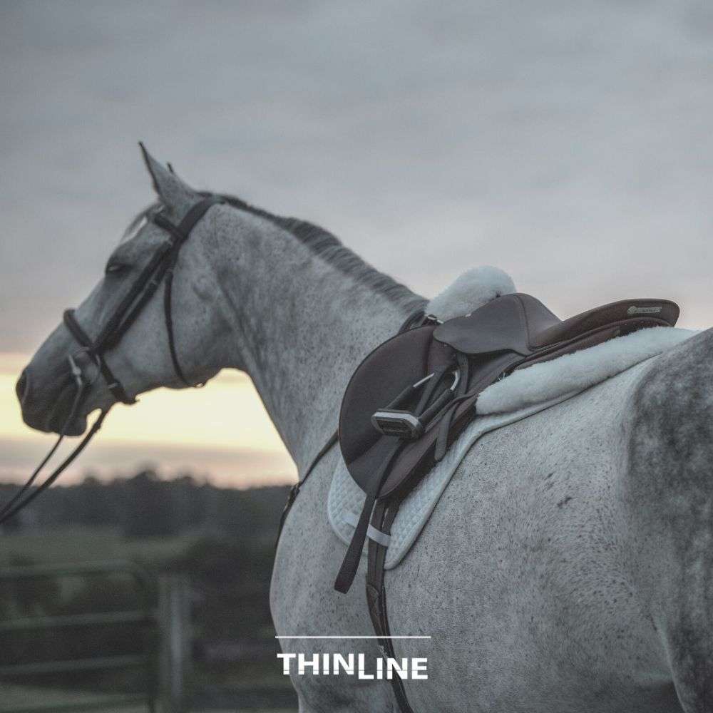 thinline english tack reins and saddle pads