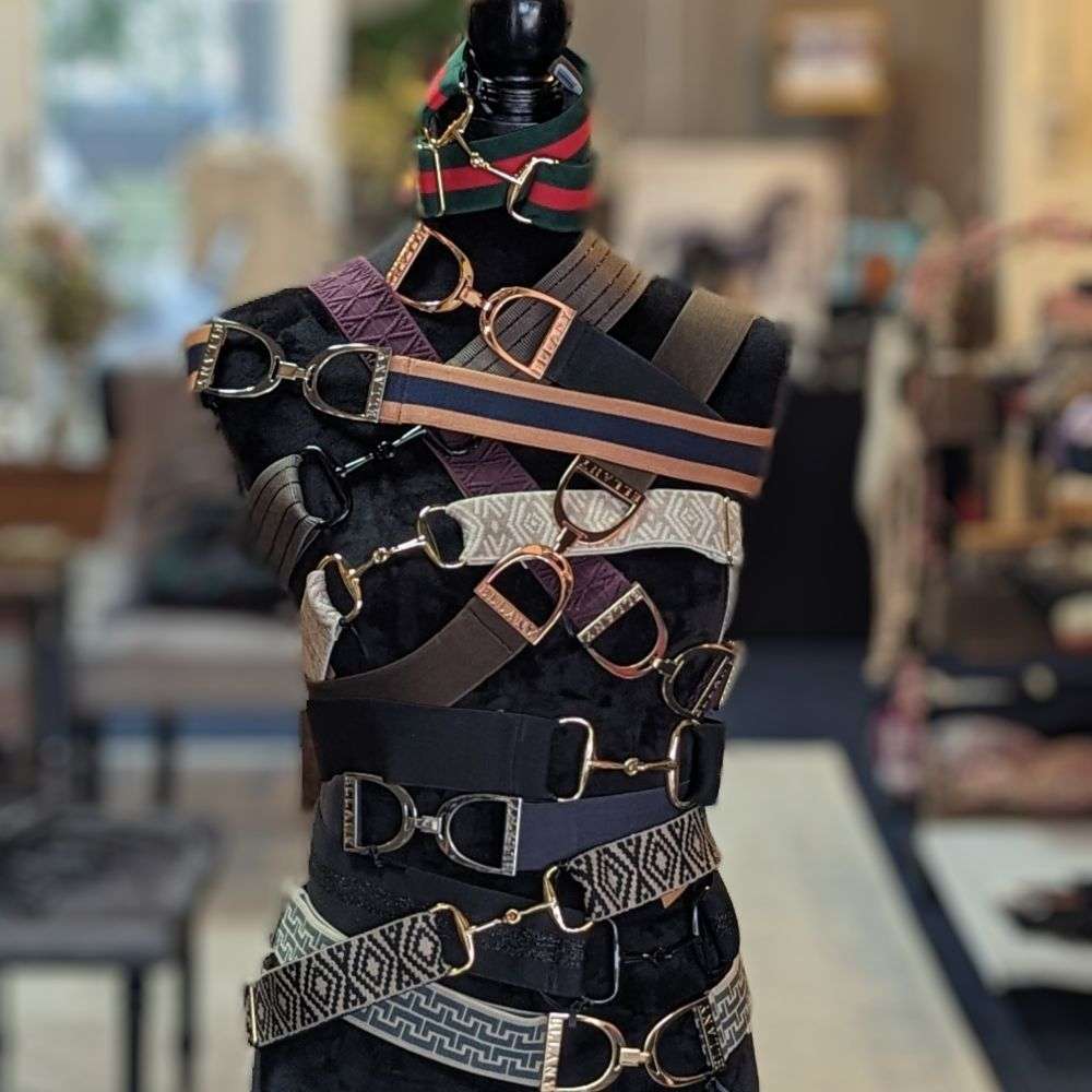 ellany equestrian elastic english belts