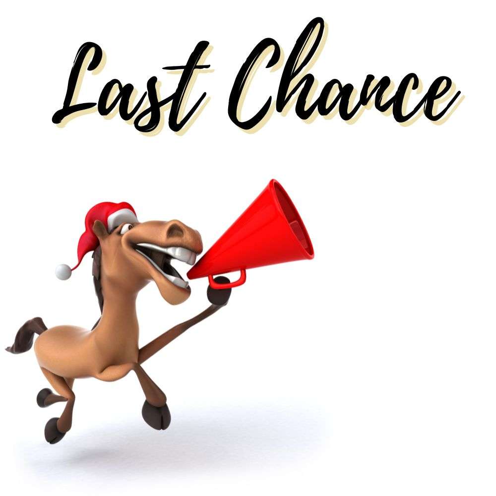last chance clearance closeout english tack