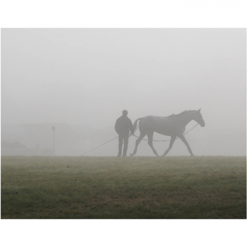 Training, Trail and More