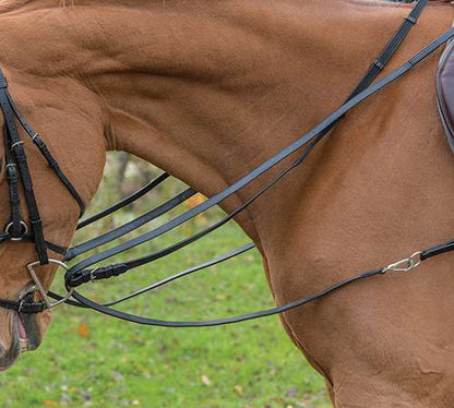 Avignon Leather Draw Reins Black On Horse