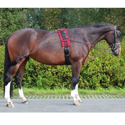 pessoa style lunging training system