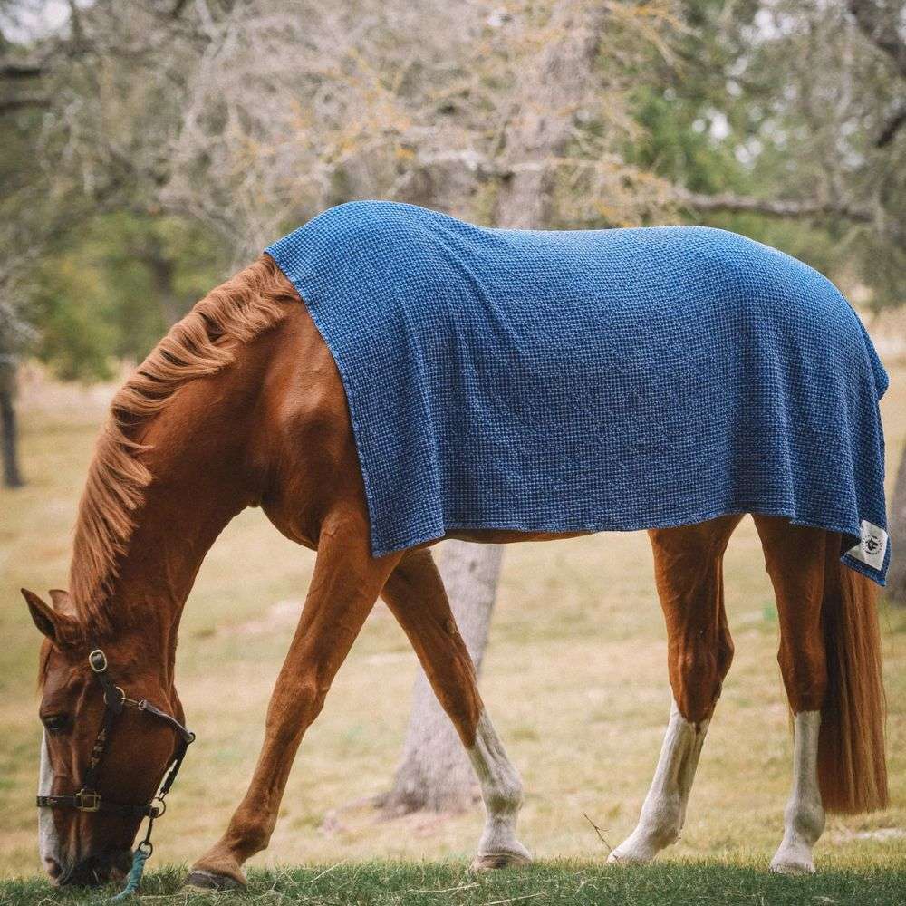 sixteen cypress cotton waffle indigo horse drying towel