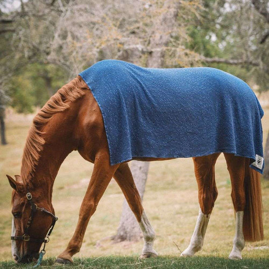 sixteen cypress cotton waffle indigo horse drying towel