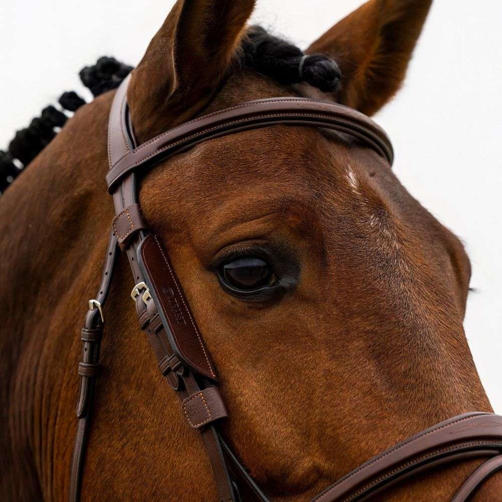 trust leather bridle blinkers