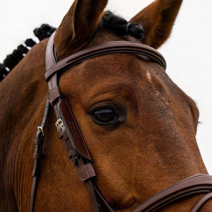 trust leather bridle blinkers