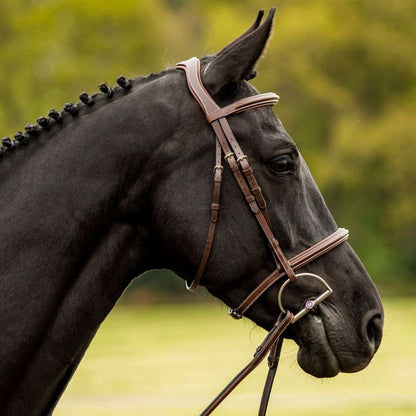 trust kentucky hunter bridles