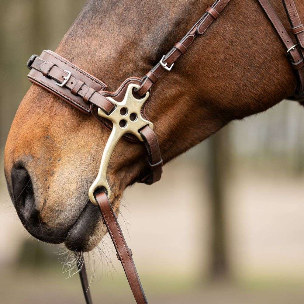 trust padded leather hackamore noseband closeup