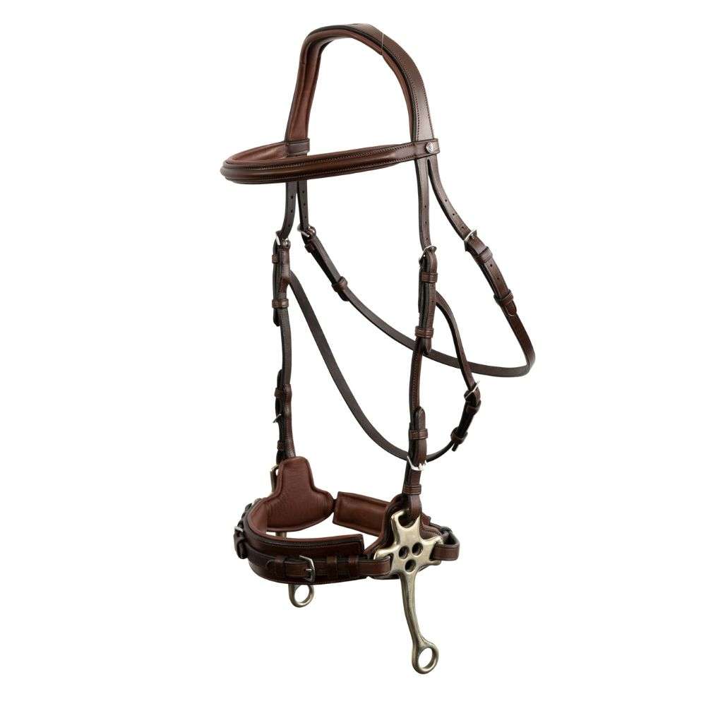 trust sopot hackamore bridle set