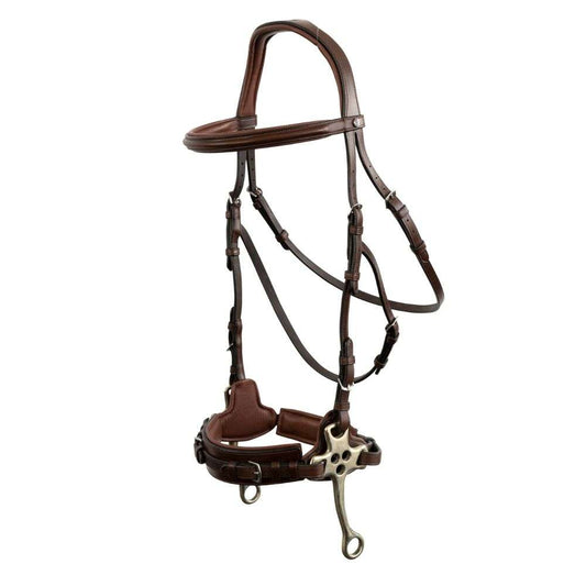 trust sopot hackamore bridle set