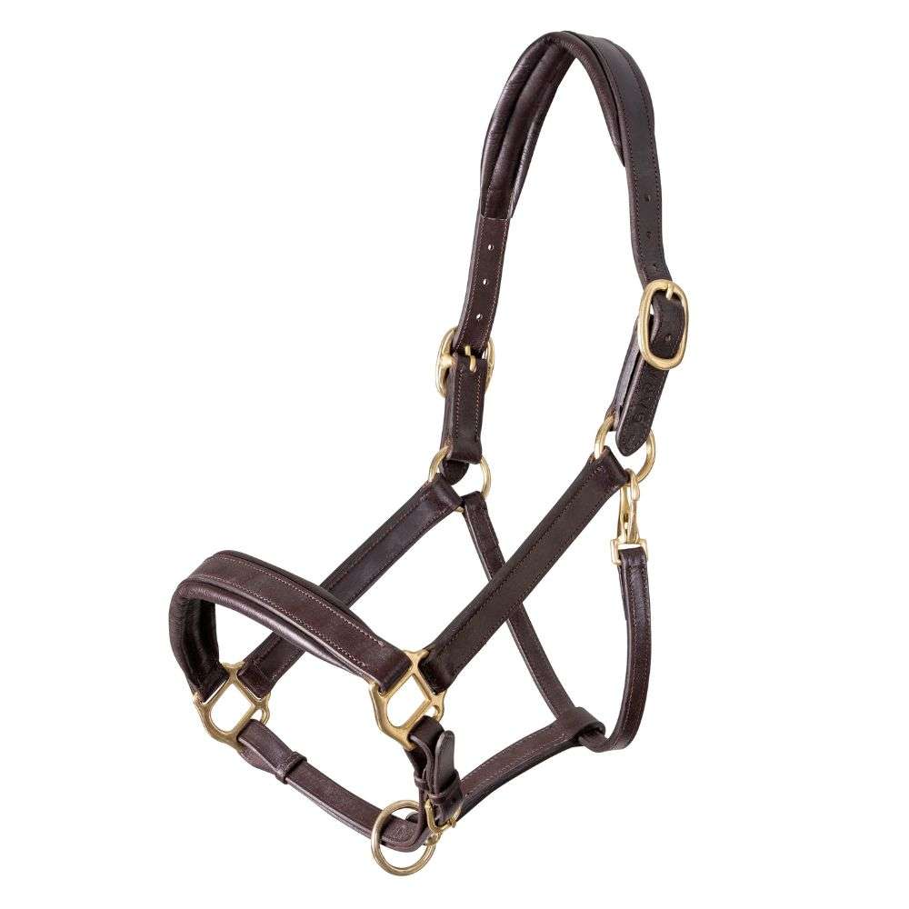 velociti gara padded leather halter