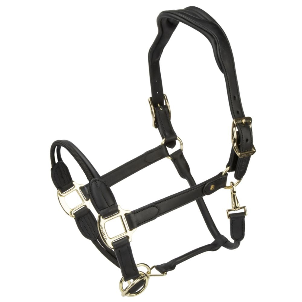Lusso Soria Padded Leather Control Halter