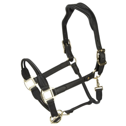 Lusso Soria Padded Leather Control Halter