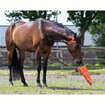 qhp carrot xl turnout toys