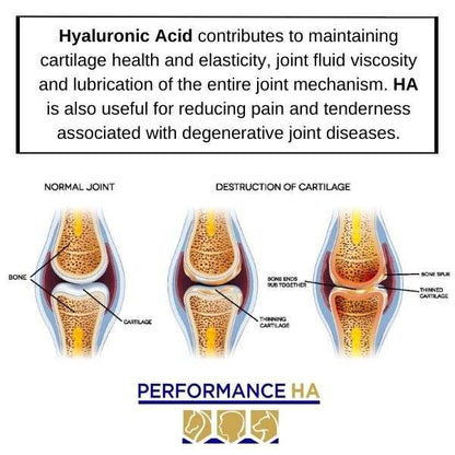performance ha and osteoarthritis degenerative joint disease