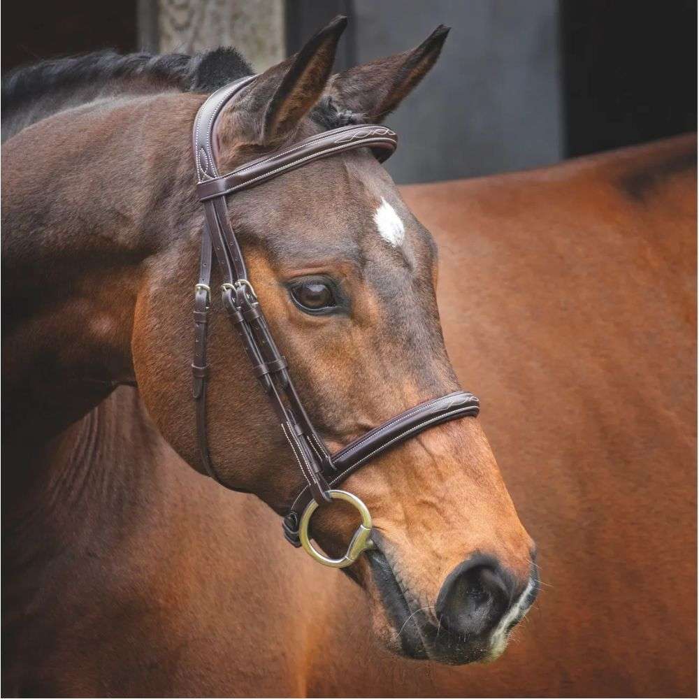 Lusso Fancy Stitch Padded Hunter Bridle