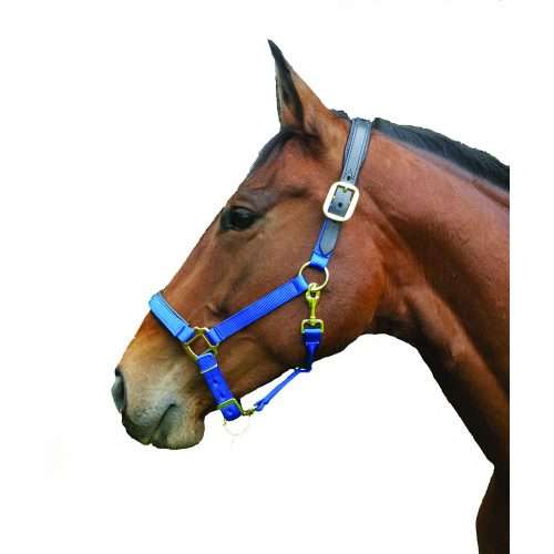 premium padded breakaway halter