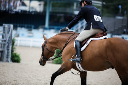 an english rider at a hunter horse show with a brown horse and an ecogold secure hunter shaped saddle pad.