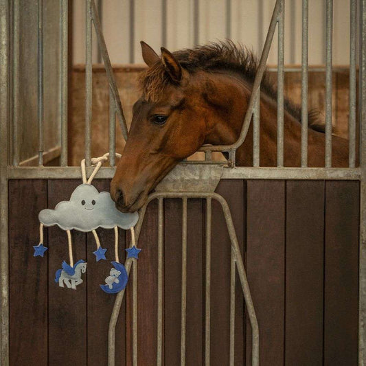 Blue cloud horse stall toy with young foal in a box stall.