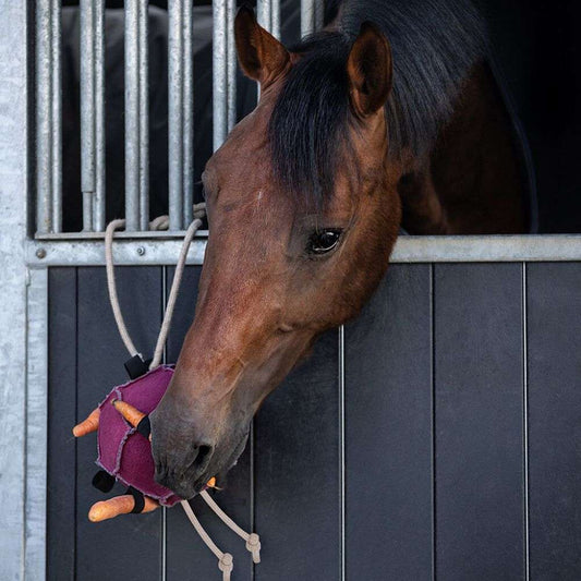 qhp carrot ball pink stall toy attached to the front of a stall with a brown horse playing.