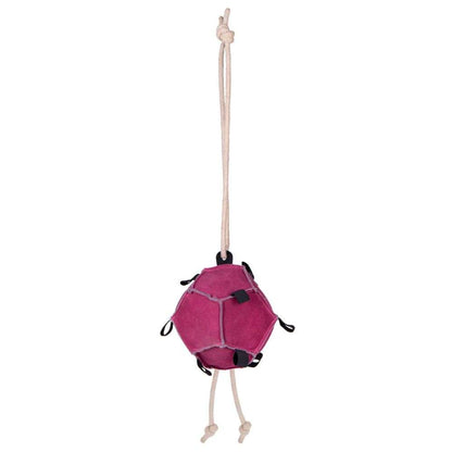 QHP Carrot Ball Horse Toy