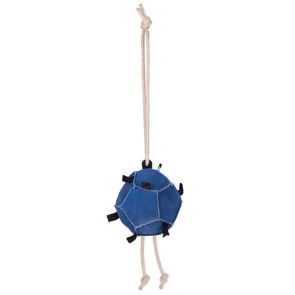 qhp carrot ball horse toy blue