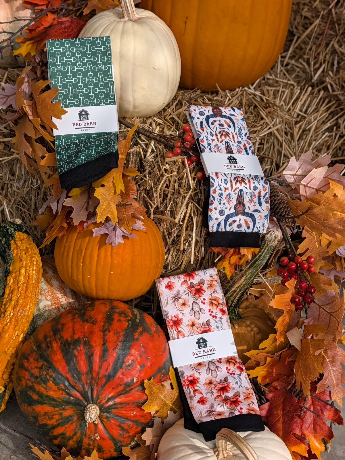 Three pairs of Red Barn brand socks displayed in a fall-themed setting with pumpkins, hay, and autumn leaves. One pair is green with a white bit pattern, one is white with a blue and rust floral pattern, and one is white with a red and orange floral pattern.