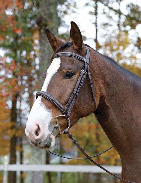 ocala fancy stitch monocrown anatomical hunter bridle
